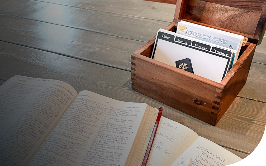 img guiding principles